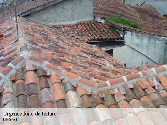 Urgence fuite de toiture  06650