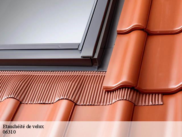 Etanchéité de velux  06310