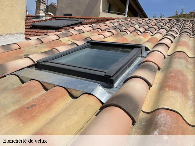 Etanchéité de velux  06310