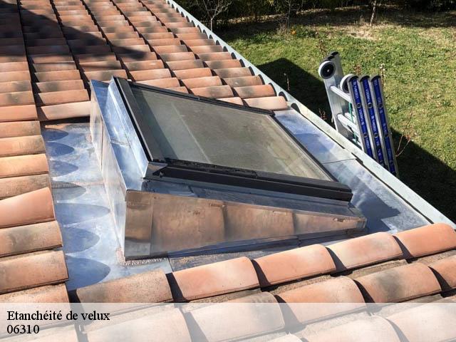 Etanchéité de velux  06310