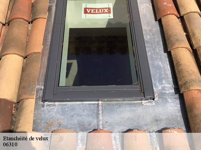 Etanchéité de velux  06310