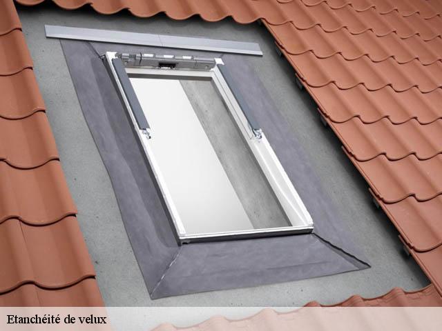 Etanchéité de velux  06310